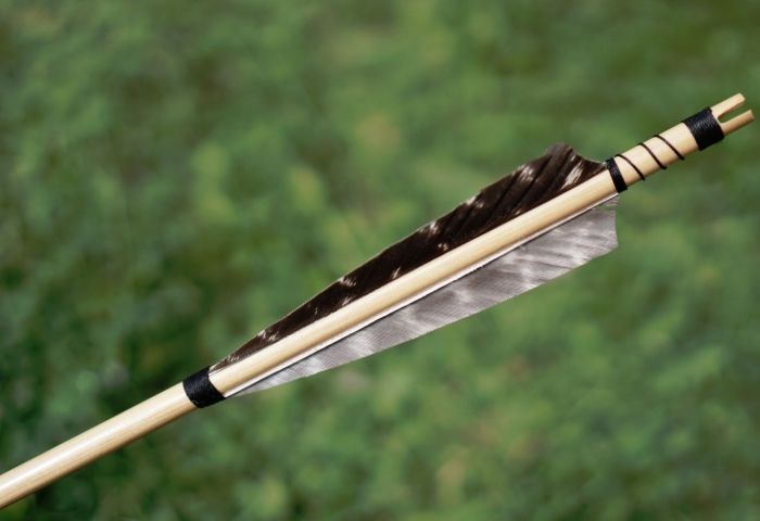 German crossbow deaths: Police find more bodies