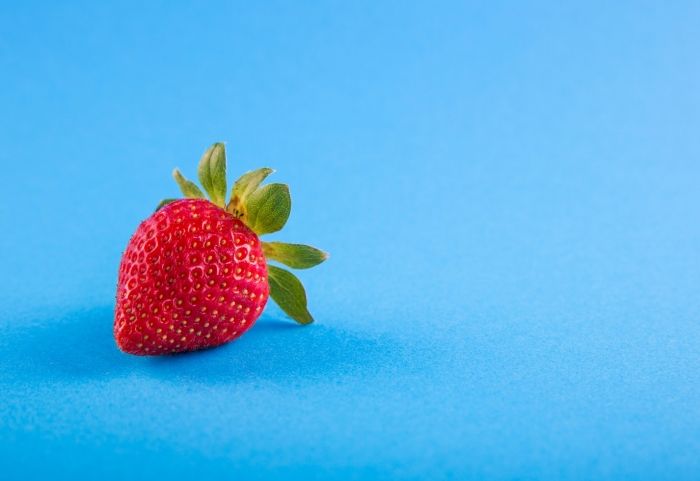 Can You Change Your Diet To Avoid Mosquito Bites?