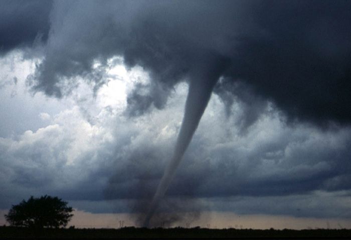 Intense videos and photos capture tornado outbreak across Illinois