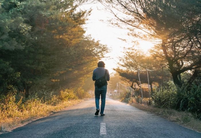 Why U.S. pedestrian deaths are at their highest level in almost 30 years